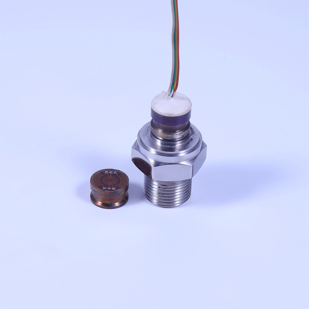 應(yīng)變式壓力芯體 PT500-301